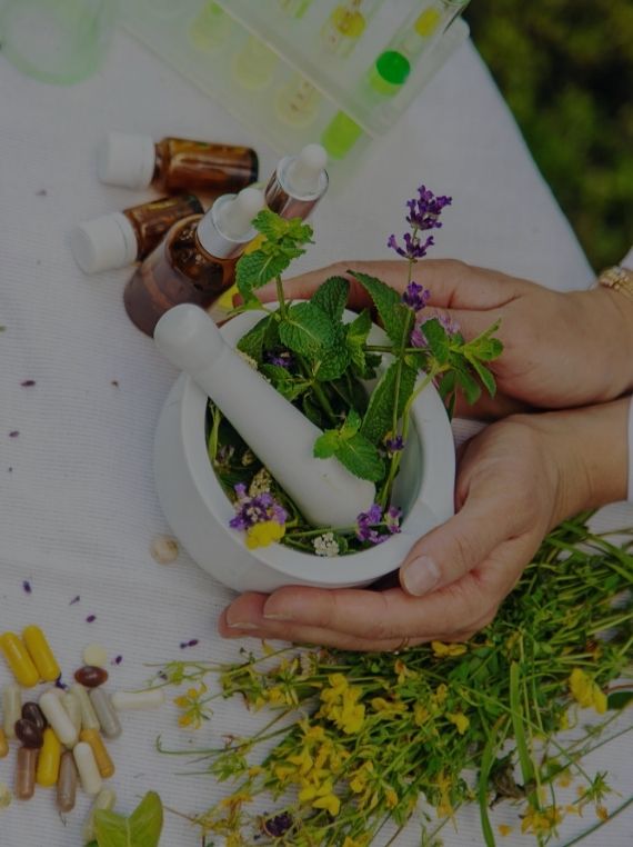 Holistic Wellness Program